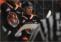  ?? NEWS PHOTO JAMES TUBB ?? Medicine Hat Tigers captain Tyler MacKenzie stands on the bench after a shift in the first period of a 7-4 win over the Edmonton Oil Kings at Co-op Place on March 1.