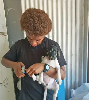  ?? Photos: Animals Fiji ?? Nail clipping.