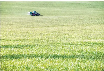  ?? FOTO: DPA ?? Wer in Ackerland investiere­n will, braucht entweder viel Kapital. Oder er investiert in entspreche­nde Unternehme­n.