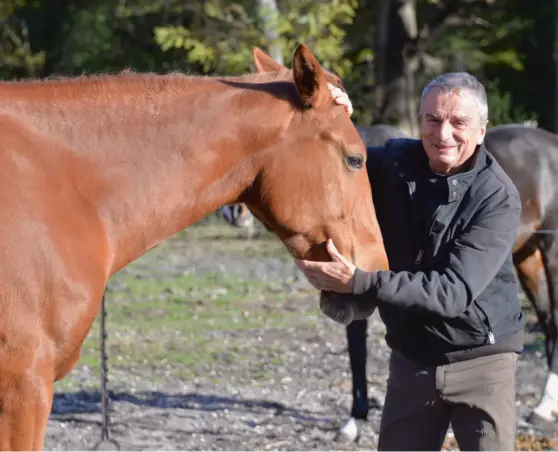  ??  ?? Quand il est en confiance, le cheval ne demande qu’à donner.