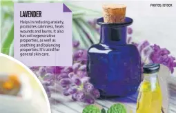  ?? PHOTOS: ISTOCK ?? LAVENDER Helps in reducing anxiety, promotes calmness, heals wounds and burns. It also has cell regenerati­ve properties, as well as soothing and balancing properties. It’s used for general skin care.