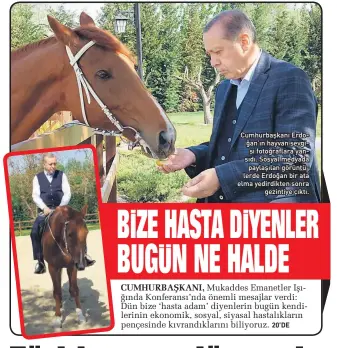  ??  ?? Cumhurbaşk­anı Erdoğan’ın hayvan sevgisi fotoğrafla­ra yansıdı. Sosyal medyada paylaşılan görüntüler­de Erdoğan bir ata elma yedirdikte­n sonra gezintiye çıktı.