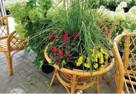  ??  ?? Die Kunden erwartet eine große Auswahl an farbenreic­hen Pflanzen und hübschen Dekoration­smöglichke­iten.
