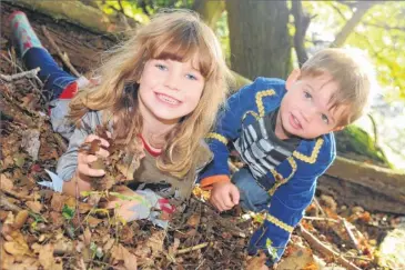  ?? Pictures: Wayne McCabe FM3487873 ?? Lille-Rose Banks, four, and three-year-old Joshua Davidson at Ashford Warren’s Family Fun nature event