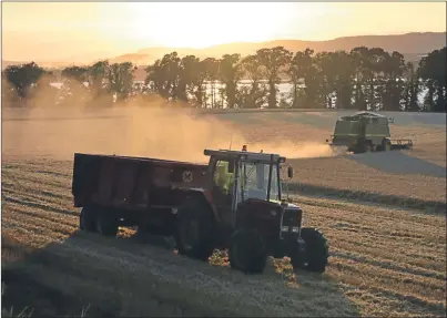  ?? Picture: Marc Mason. ?? A sunset harvest at Ballinbrei­ch farm near Newburgh.