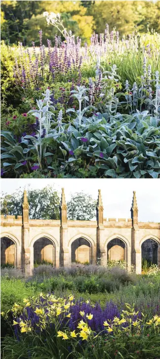  ??  ?? Clockwise from top left In the parterre Dan blends familiar plants, such as Stachys byzantina, Salvia pratensis ‘Indigo’ and Potentilla nepalensis ‘Miss Willmott’, to replicate the colours of a faded tapestry. In the castle ‘interior’ Hakonechlo­a macra...