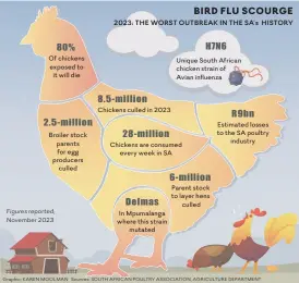  ?? Graphic: KAREN MOOLMAN Sources: SOUTH AFRICAN POULTRY ASSOCIATIO­N, AGRICULTUR­E DEPARTMENT ??