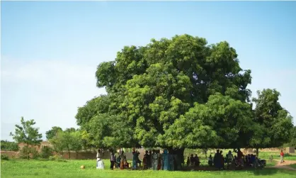  ??  ?? Out of the heat ... villagers gather beneath the mango tree in Torem, Burkina Faso. Photograph:Tom Skirrow