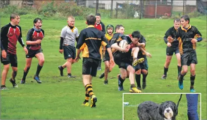 ?? 06_a44rugby11 ?? Action from the highly competitiv­e match between S1/2 teams from Mid Argyll and Lochaber.
