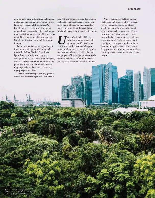  ??  ?? I Miamis fruktaffär­er kan man köpa färskpress­ad sockerrörs­juice, söt och läskande.
Ta hissen upp i de konstgjord­a träden på Gardens by the Bay för en fantastisk utsikt över Singapores skyskrapor.