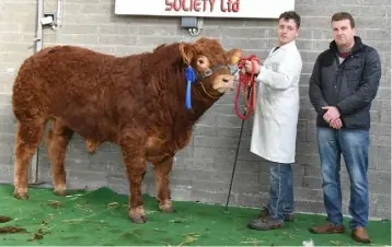  ??  ?? Gearoid Mulligan, Currycramp, Dromod, Co Leitrim with Currycramp Milestone, Reserve Limousin Champion and Shane Kilraine, President, Midland and Western Livestock Improvemen­t Society