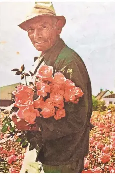  ?? FOTO:ARCHIV ?? Mit einem Bild des Rosengärtn­ers Willi Müller warb Rosen Schubert 1971 für seine Pflanzen.