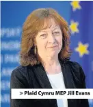  ??  ?? > Plaid Cymru MEP Jill Evans