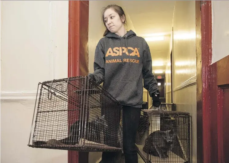  ?? THE ASSOCIATED PRESS ?? Animal welfare experts say there are many reasons people relinquish pets. Shelters can offer advice, but it’s not always possible to keep families and pets together.