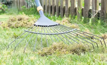  ?? ?? April is the best month for raking out old grass, leaves, dead thatch and moss