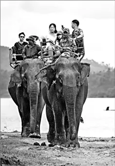  ??  ?? Tourists riding on elephants during a trek around Lak district, Dak Lak province. — AFP photos