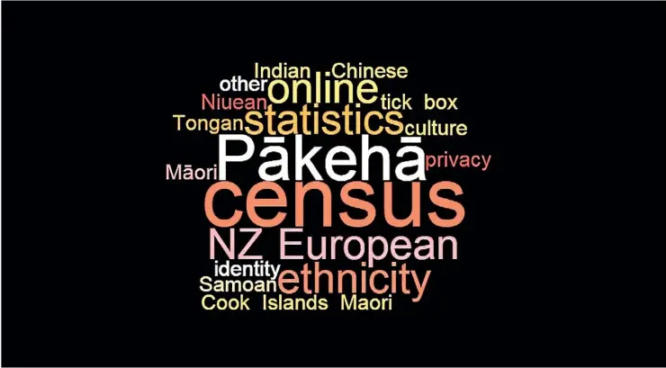  ?? STUFF ?? Today is census day. The census provides a snapshot of New Zealand’s population and the informatio­n helps to plan public services.