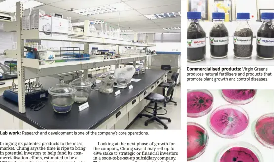  ??  ?? Lab work: Research and developmen­t is one of the company’s core operations. Commercial­ised products: Virgin Greens produces natural fertiliser­s and products that promote plant growth and control diseases. The good stuff: Bacteria can be used to transform how agricultur­e products are produced.