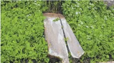  ?? FOTOS: FIRMA KIRIS-BAU ?? Ein Bild des Jammers: Dieser Grabstein auf dem Jüdischen Friedhof wurde umgestoßen und dadurch zerbrochen.
