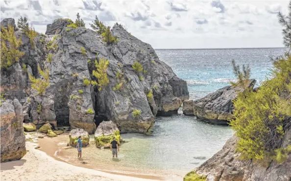  ?? Tony Cenicola / New York Times ?? Tourists explore Jobson’s Cove in Bermuda, where deals spike in September.