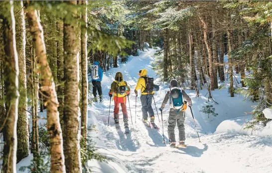  ?? JOSH LASKIN PHOTOS ?? A group travels up the Tuckerman Ravine Trail on Mount Washington in New Hampshire during the 2023 Mount Washington Backcountr­y Ski Festival last February.