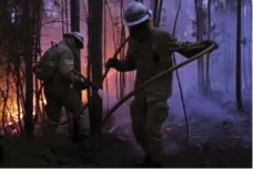  ?? ARMANDO FRANCA/THE ASSOCIATED PRESS ?? Firefighte­rs work to stop the forest fire from reaching the village of Avelar.