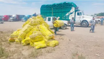  ?? /JAIME FARRERA ?? Debido a la escasa lluvia, se encarecerá el precio de hortalizas como el chile