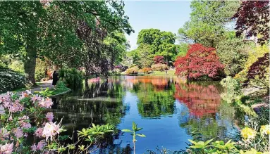  ??  ?? Natural delights: Exbury Gardens, four miles from Beaulieu, is celebratin­g its centenary