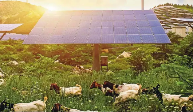  ?? Foto Jenson Shuttersto­ck ?? Na kmetijskih obdelovaln­ih površinah bi lahko gradili agro solarne elektrarne in na ta način do leta 2030 v prostor umestili za pet GW sončnih elektrarn.