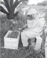  ?? ROBERTO RODRÍGUEZ HERNÁNDEZ ?? Existen en La Laguna unas 8 mil 500 colmenas de abejas /