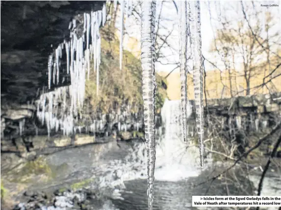  ?? Rowan Griffiths ?? > Icicles form at the Sgwd Gwladys falls in the Vale of Neath after temperatur­es hit a record low