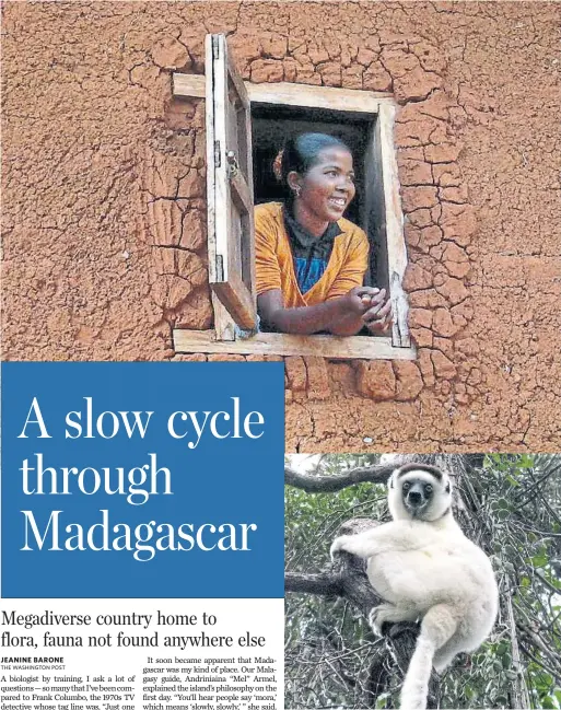  ?? JEANINE BARONE PHOTOS FOR THE WASHINGTON POST ?? TOP A woman looks out a window in Andranovor­ivato, Madagascar. The area's houses are made of uncooked brick and clay, and topped with thatched roofs. BOTTOM Sifaka lemurs are known as "dancing lemurs" because they appear to be prancing when they move across the ground.