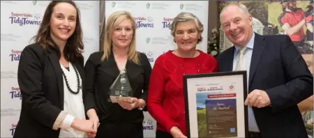  ??  ?? At the presentati­on of the Irish Water Tidy Towns Value Water Award in the Best Small Town in the South East Region Category to Ferns were Aishling Buckley, Irish Water; Mary Gethings and Angela Breen, Ferns Tidy Towns and Michael Ring TD.