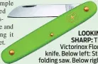  ?? ?? LOOKING
SHARP: The Victorinox Floral knife. Below left: Stihl folding saw. Below right: the Felco secateurs