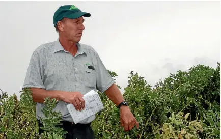  ?? PHOTO: GERALD PIDDOCK/STUFF ?? Foundation for Arable Research chief executive Nick Pyke says farmers need access to higher-value crops.