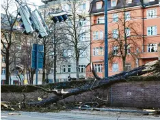  ?? Foto: Peter Fastl ?? Der Sturm hat einen Baum in der Nähe des Königsplat­zes umgeknickt.