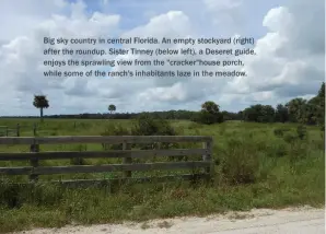  ??  ?? Big sky country in central Florida. An empty stockyard (right) after the roundup. Sister Tinney (below left), a Deseret guide, enjoys the sprawling view from the "cracker"house porch, while some of the ranch's inhabitant­s laze in the meadow.