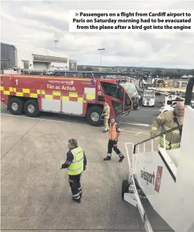  ??  ?? > Passengers on a flight from Cardiff airport to Paris on Saturday morning had to be evacuated from the plane after a bird got into the engine