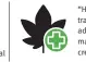  ??  ?? “Hay pruebas robustas de que el cannabis es un tratamient­o efectivo para el dolor crónico en los adultos, y los estudios indican que el acceso legal a la mariguana puede ayudar a combatir los problemas creados por los opioides”