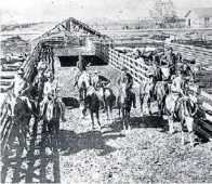  ??  ?? LLos compradore­s. A caballo, en los corrales del mercado.