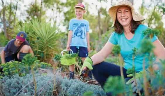  ?? Photo: Contribute­d ?? GREEN THUMB: Theresa Jenkinson and her sons Alex (left) and Kurtis Jenkinson will appear on the front cover of the 2017/18 Yellow Pages and White Pages Toowoomba book.