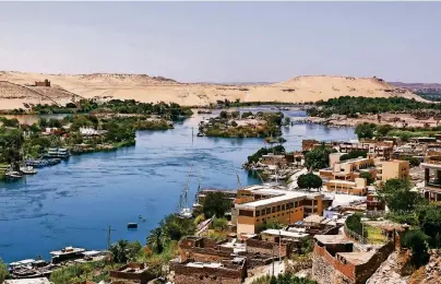  ?? FOTO: THINKSTOCK/NEMAR74 ?? Wo der Nil Ägypten mit Wasser versorgt, ist das Land sattgrün. Entlang des Ufers wachsen Palmenhain­e und saftige Weidewiese­n für die Kühe.