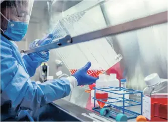  ?? |
Reuters UPMC ?? A RESEARCHER at the University of Pittsburgh works on a Covid-19 vaccine candidate, a fingertip-sized patch with dissolvabl­e microscopi­c needles in Pennsylvan­ia. An expert says that during this time it is important to get the regular flu vaccine this flu season.