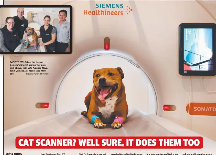  ?? Picture: PETER RISTEVSKI ?? PATIENT PET: Bailee the dog on Geelong’s first CT scanner for pets and, above, with vets Amanda Nave, John Quinane, Ali Moore and Mark Yee.