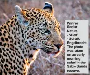  ??  ?? Winner Senior Nature - ‘Alert’ - Schalk Engelbrech­t. The photo was taken on an early morning safari in the Sabie Sands reserve.