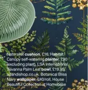  ?? ?? Naturalist cushion, £16, Habitat. Canopy self-watering planter, £90 (excluding plant), LSA Internatio­nal. Savanna Palm Leaf bowl, £19.95, adandishop.co.uk. Botanical Bliss Navy wallpaper, £40/roll, House Beautiful Collection at Homebase