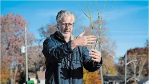  ?? DAVE JOHNSON PHOTOS TORSTAR ?? Albert Garofalo, who teaches plant identifica­tion at Niagara College, talks about how to plant beach grass at Fort Erie’s Bay Beach Saturday.