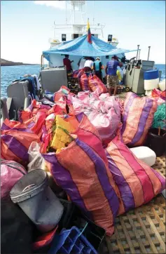  ??  ?? Sacks of garbage collected on the shore of Isabela Island in the Galapagos Archipelag­o.