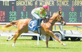  ?? Photo / Race Images ?? The Tony Pike-trained Impendabel­le.