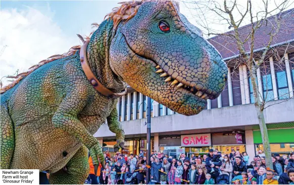  ?? ?? Newham Grange Farm will host ‘Dinosaur Friday’